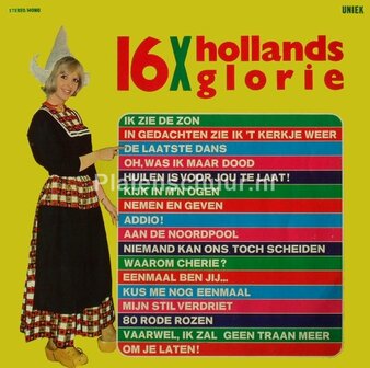 16x Hollands Glorie - Covers van bekende liedjes  (LP)