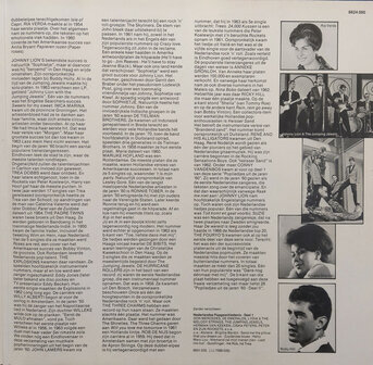 Nederlandse Popgeschiedenis Deel 2  (2LP)