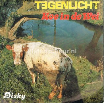Tegenlicht - Koe In De Wei / Zonder Eind