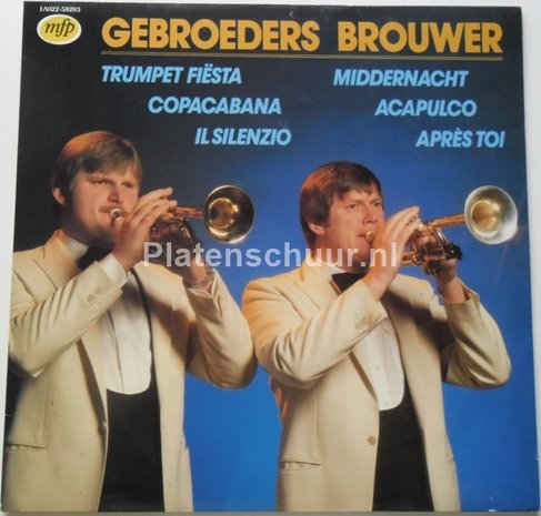 Gebroeders Brouwer ‎– Gebroeders Brouwer   (LP)