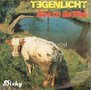 Tegenlicht-Koe-In-De-Wei-Zonder-Eind