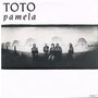 Toto-Pamela-You-got-me