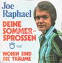 Joe-Raphael-Deine-Sommersprossen-Wohin-sind-die-träume