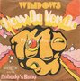 Windows-How-do-you-do-Nobodys-Baby