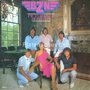 BZN-Pictures-Of-Moments--(LP)