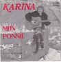 Karina-Mijn-Ponnie-Het-huis-op-de-prairie