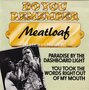 Meat-Loaf-Paradise-By-The-Dashboard-Light-You-took-the-words-right-out-of-my-mouth