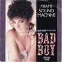 Miami-Sound-Machine-Bad-Boy-Surrender-Paradise