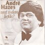 André-Hazes-Wat-is-dan-liefde-Alleen