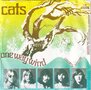 The-Cats-One-Way-Wind-Country-Woman