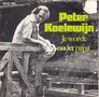 Peter-Koelewijn-Je-wordt-ouder-papa-Dieper-(dan-een-pijl-kan-gaan)