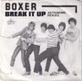 Boxer-Break-It-Up-Astronomic-Heroes