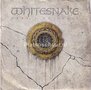 Whitesnake-Here-I-Go-Again-Slide-it-in